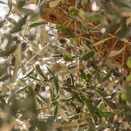 Sud-est * Ostuni