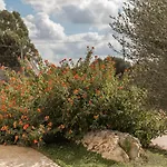 Sud-est * Ostuni