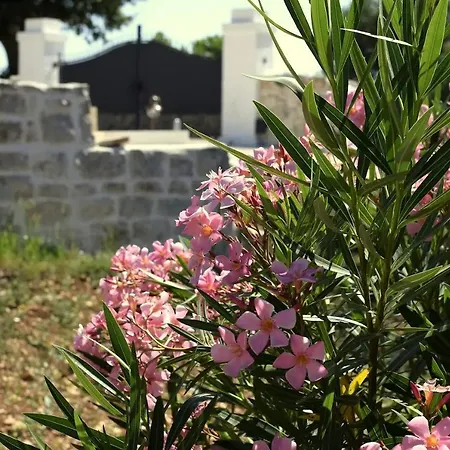 Sud-est * Ostuni
